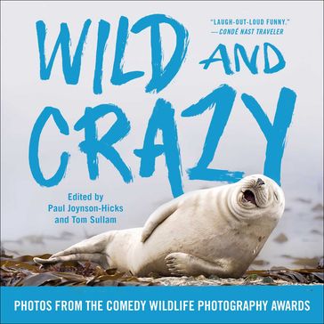 Wild and Crazy - Paul Joynson-Hicks - Tom Sullam