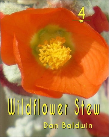 Wildflower 4 - Dan Baldwin