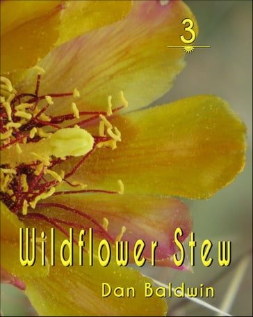 Wildflower Stew 3 - Dan Baldwin