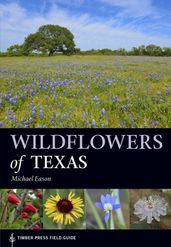 Wildflowers of Texas