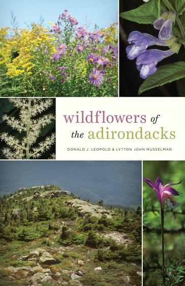 Wildflowers of the Adirondacks - Donald J. Leopold - Lytton John Musselman