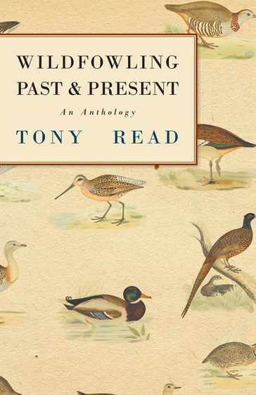 Wildfowling Past & Present - An Anthology - Tony Read