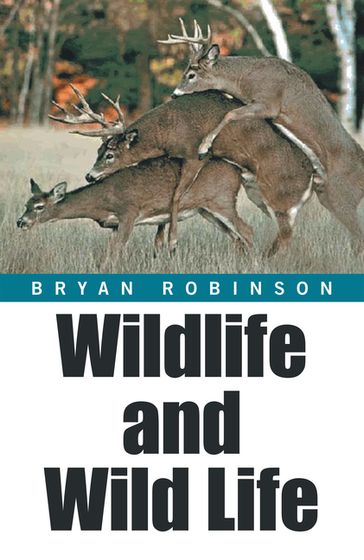 Wildlife and Wild Life - Bryan Robinson
