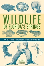 Wildlife of Florida s Springs