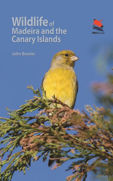 Wildlife of Madeira and the Canary Islands - John Bowler
