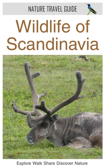 Wildlife of Scandinavia (Nature Travel Guide) - James Duncan