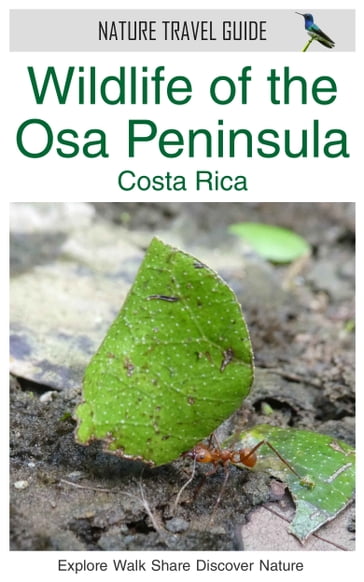 Wildlife of the Osa Peninsula, Costa Rica (Nature Travel Guide) - James Duncan