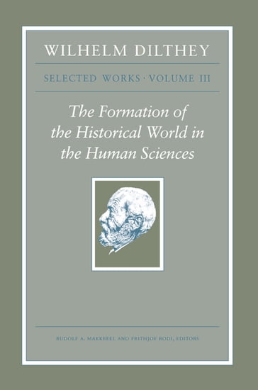 Wilhelm Dilthey: Selected Works, Volume III - Wilhelm Dilthey