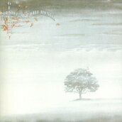 Wind & wuthering