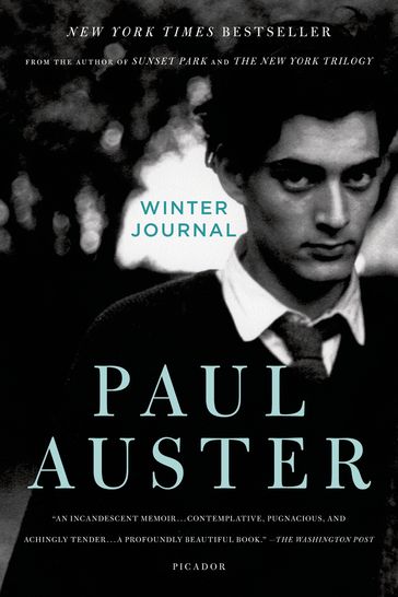 Winter Journal - Paul Auster