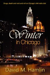 Winter in Chicago