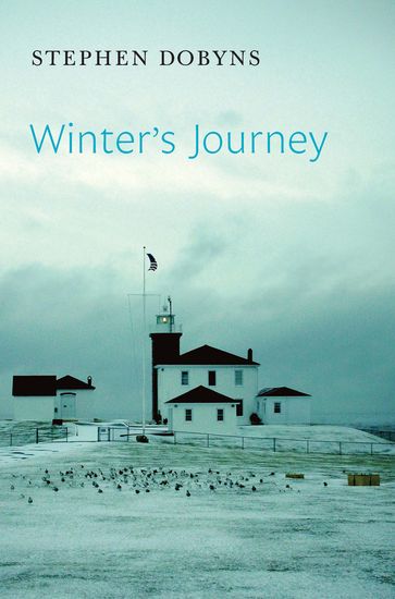 Winter's Journey - Stephen Dobyns