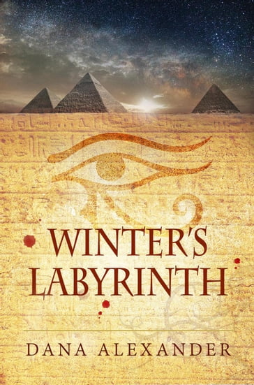 Winter's Labyrinth - Dana Alexander