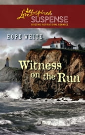 Witness on the Run (Mills & Boon Love Inspired)