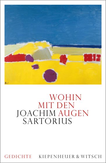 Wohin mit den Augen - Joachim Sartorius