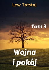 Wojna i pokój. Tom 3