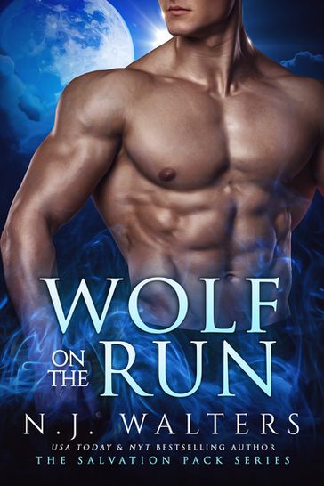 Wolf on the Run - N.J. Walters