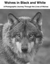 Wolves in Black and White: A Photographic Journey Through the Lives of Wolves