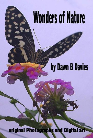 Wonders of Nature - Dawn B Davies