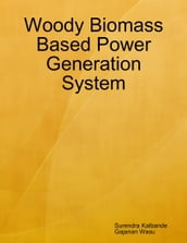 Woody Biomass Based Power Generation System