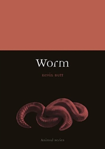 Worm - Kevin Butt