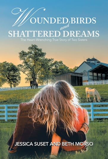 Wounded Birds and Shattered Dreams - Beth Morso - Jessica Suset