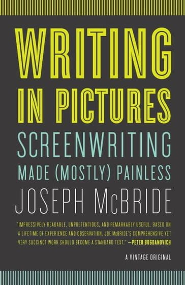 Writing in Pictures - Joseph McBride
