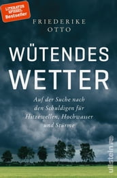 Wütendes Wetter