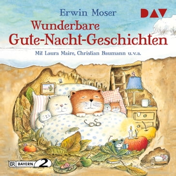 Wunderbare Gute-Nacht-Geschichten (Gekürzt) - Erwin Moser