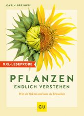 XXL-Leseprobe: Pflanzen endlich verstehen