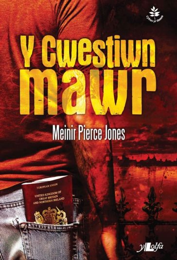 Y Cwestiwn Mawr - Meinir Pierce Jones