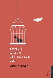 Yanl Giden Bir eyler Var