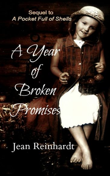 A Year of Broken Promises (Book 2 - An Irish Family Saga) - Jean Reinhardt