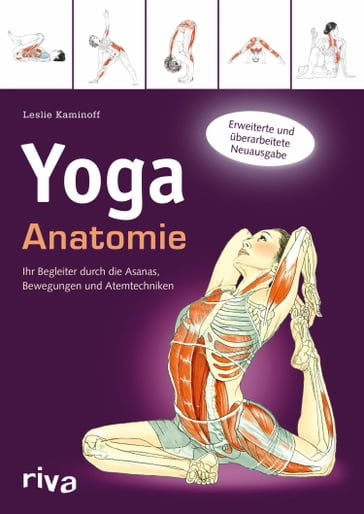 Yoga-Anatomie - Amy Matthews - Leslie Kaminoff