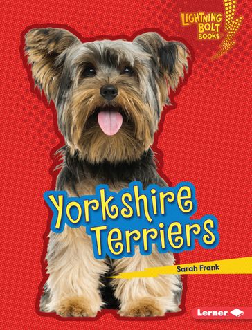 Yorkshire Terriers - Sarah Frank