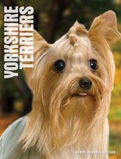 Your Yorkshire Terrier