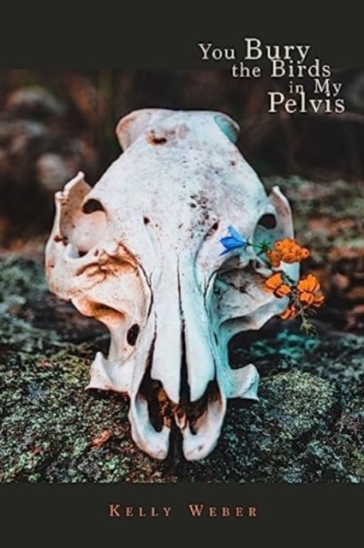 You Bury the Birds in My Pelvis - Kelly Weber