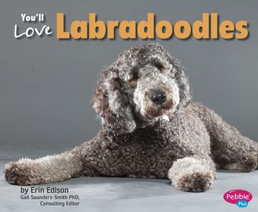 You'll Love Labradoodles - Erin Edison - Gail Saunders-Smith