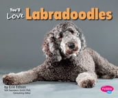 You ll Love Labradoodles