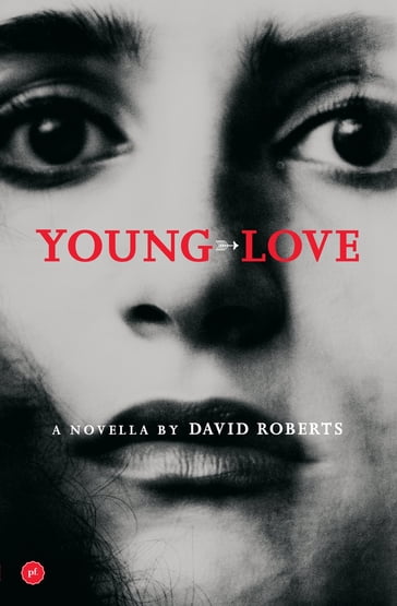 Young Love - David Roberts