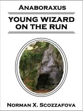 Young Wizard on the Run