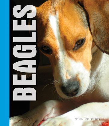 Your Beagle - Dominique De Vito