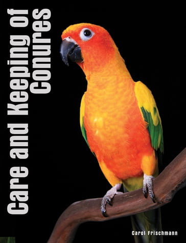 Your Conure - Carol Frischmann