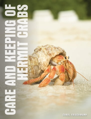 Your Hermit Crab - Carol Frischmann