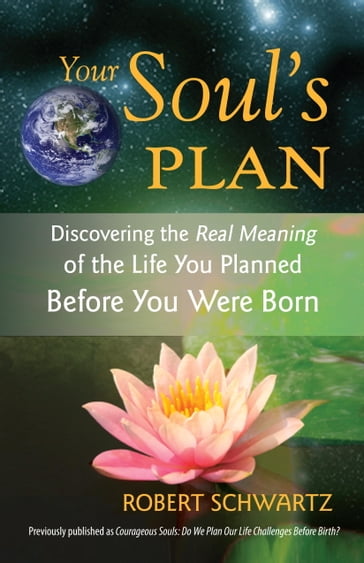 Your Soul's Plan - Robert Schwartz