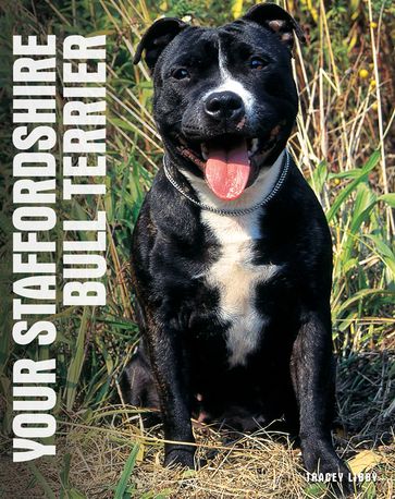 Your Staffordshire Bull Terrier - Tracy Libby