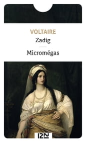 Zadig - Micromégas