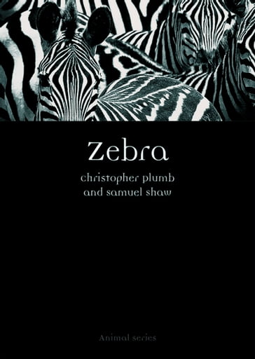 Zebra - Christopher Plumb - Samuel Shaw