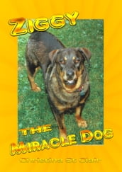 Ziggy the Miracle Dog