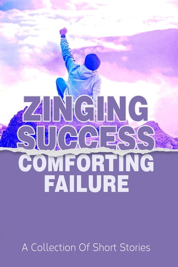 Zinging Success Comforting Failure - Sameer Farooqi